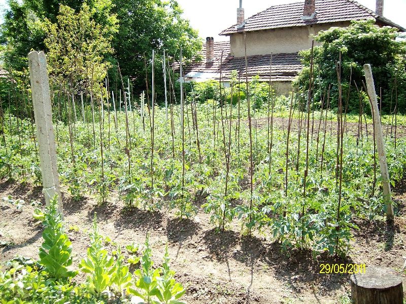 къща,вила, с двор село Бутово област Велико Търново