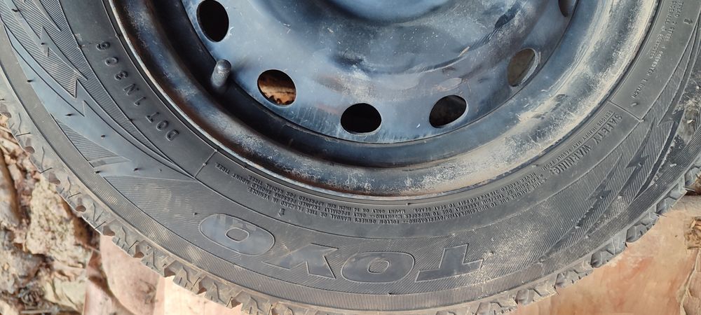 Toyo yapon qishki shinasi