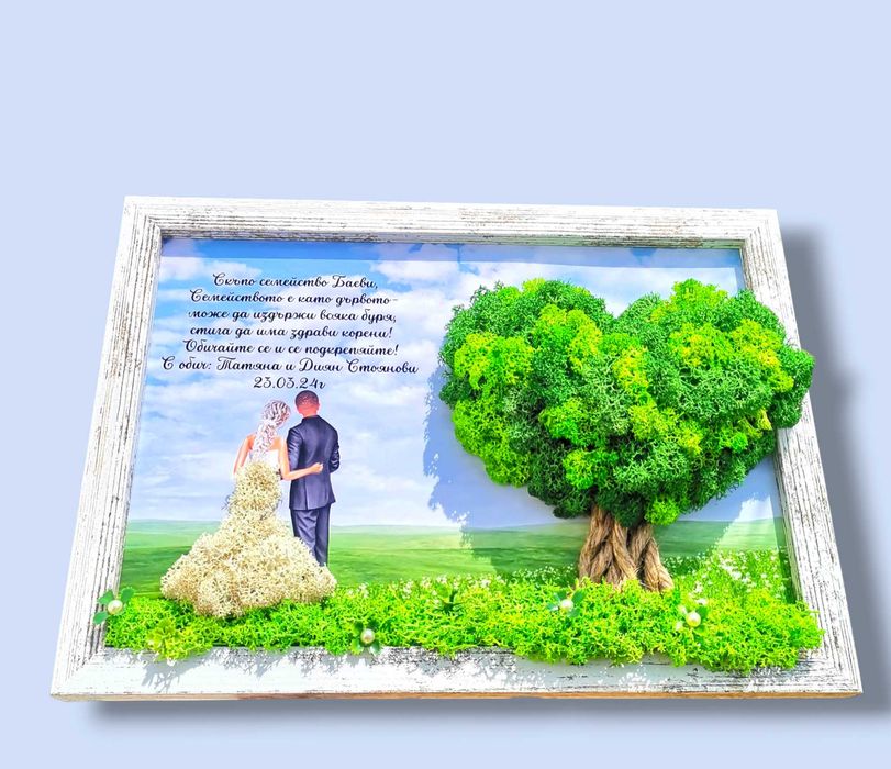 Живи картини/пана с естествен скандинавски мъх