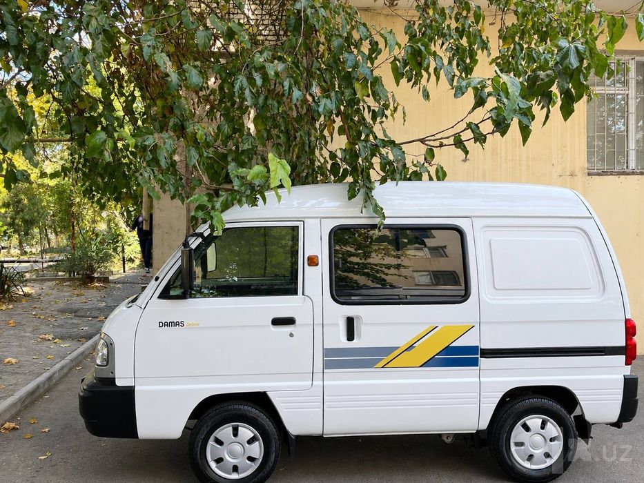 Damas kombi 2025