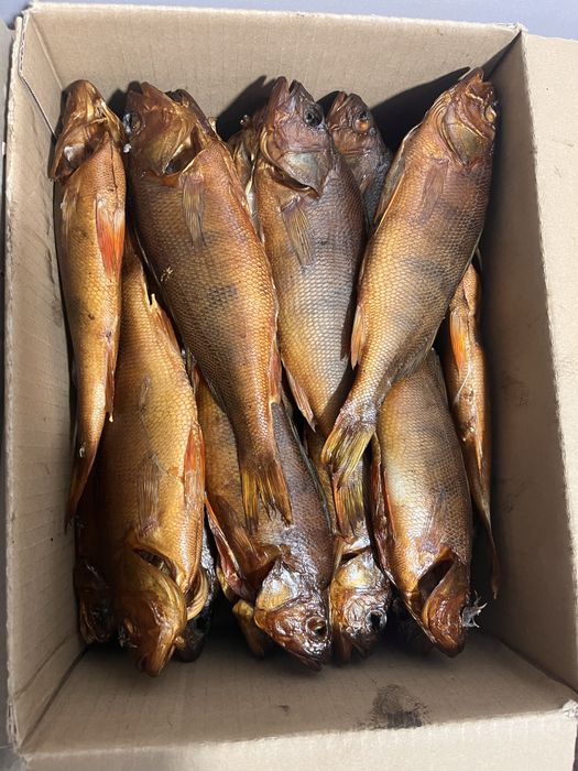 Рыба хк гк вялка