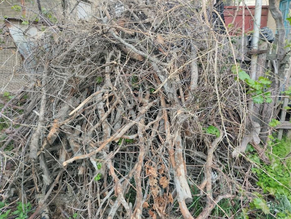 Срочный у́тин,кундалар сотилади.