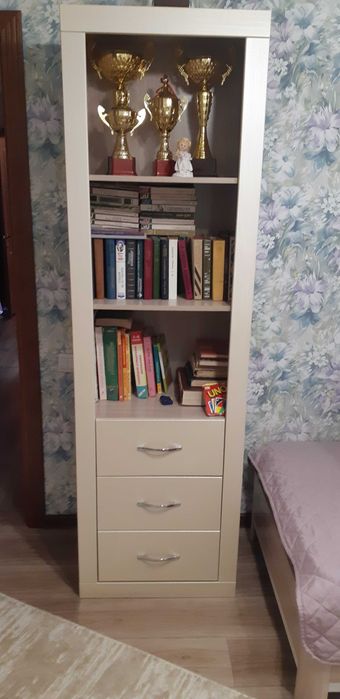 Письменный стол и книжная полка