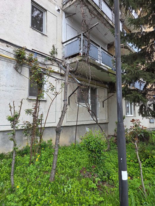 Vand ap 3 camere, parter, cart balta.