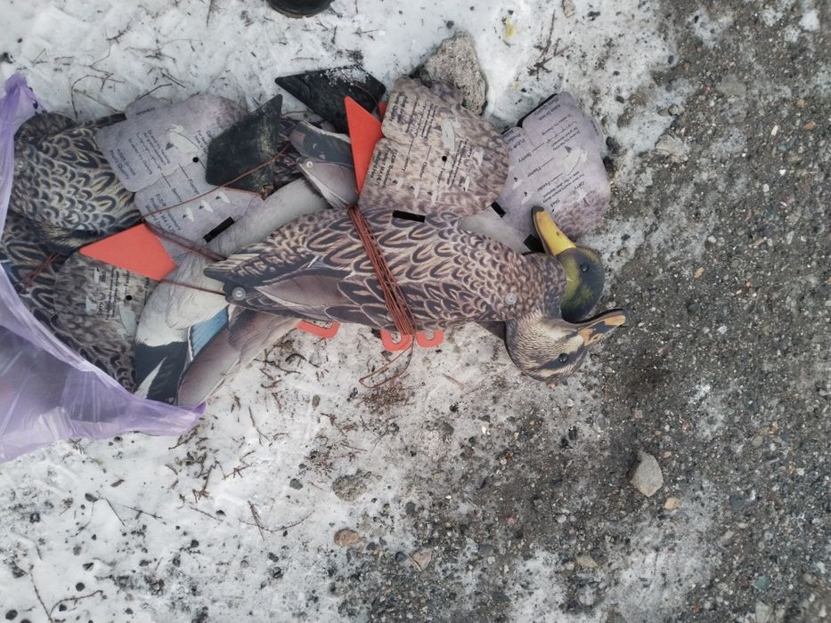 Продам утиные профиля !!!