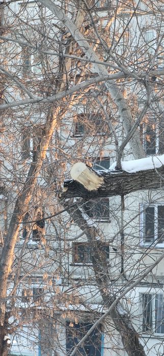 Xiaomi Mi 10 Ultra Explorer Edition