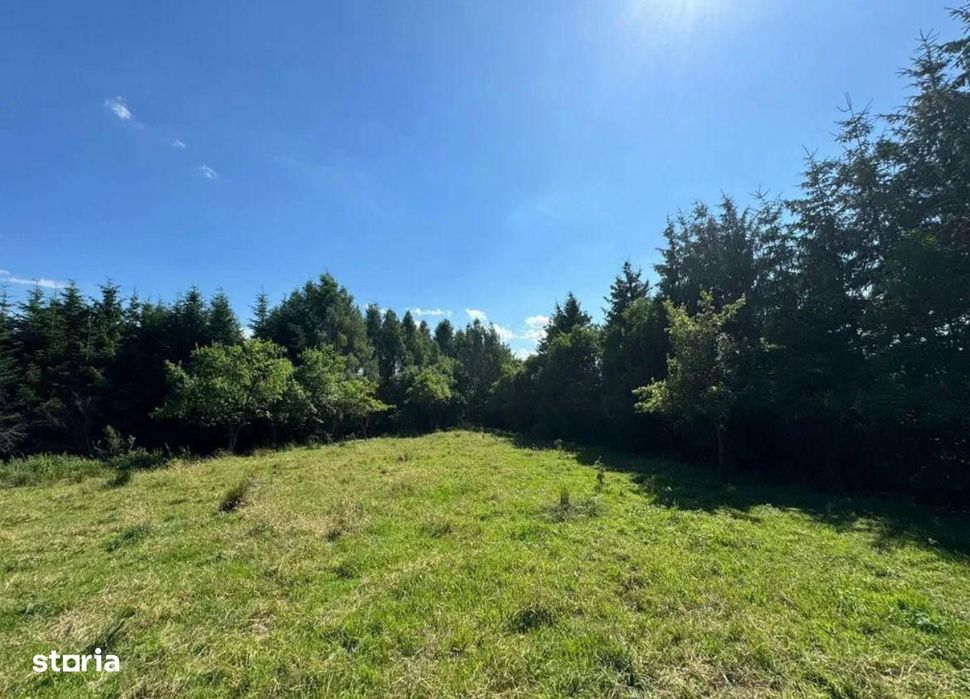 Teren intravilan 5.755 mp | Zona Muzeul Satului Maramuresean, Sighetu