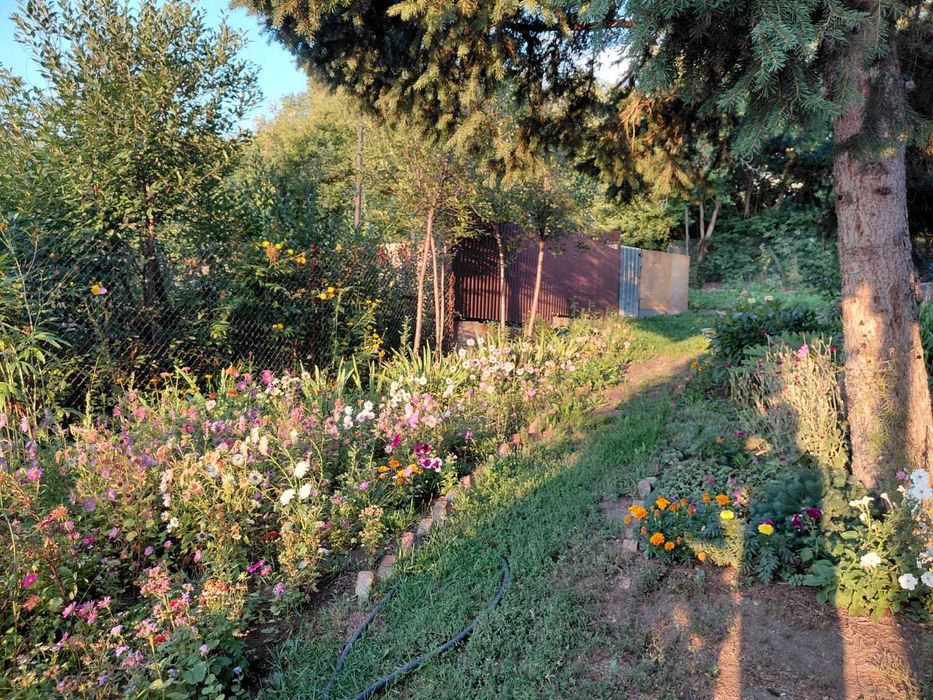 Продам дом в живописном месте!