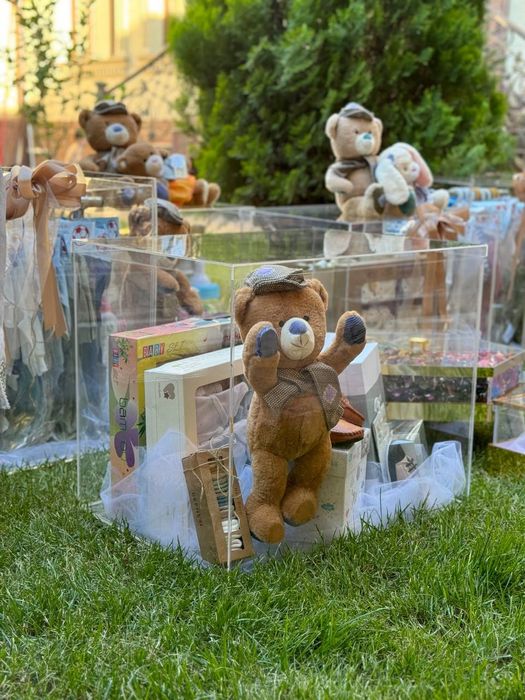 Prokat Sarpo idshkar