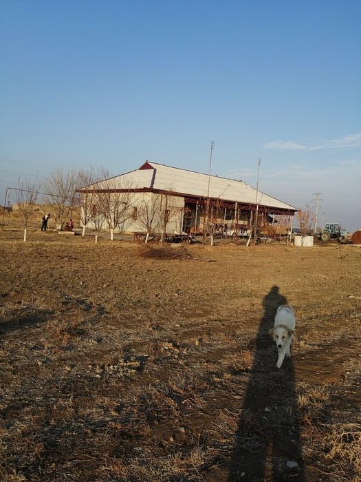 Bo'rdoqichilik bazasi sotiladi barcha xususiy mulk