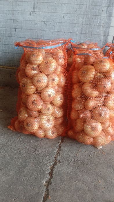 Ceapa galbena plata