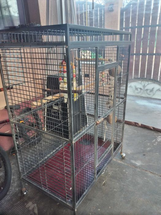 Colivie pentru papagal