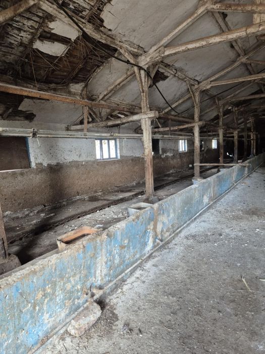 Кравеферма  със оборудване