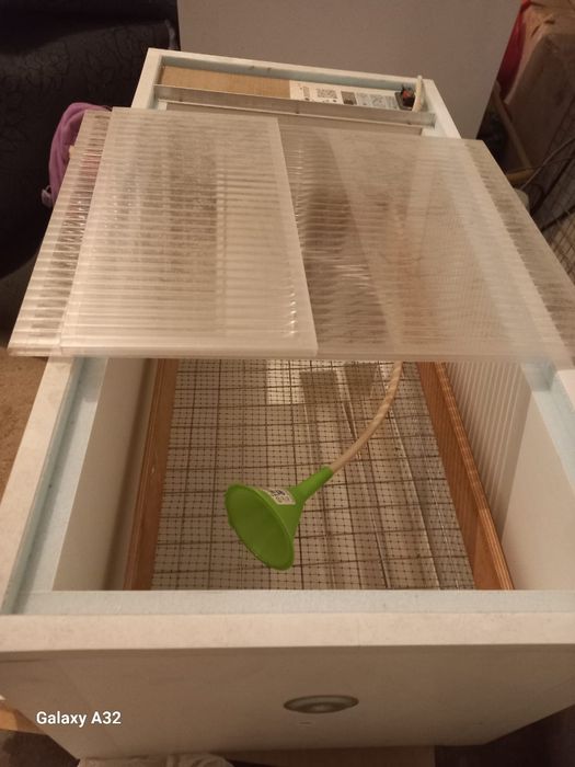 норма лупер инкубатор сатылады