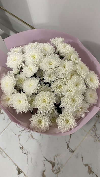 Продам цветы хризантемы …………..