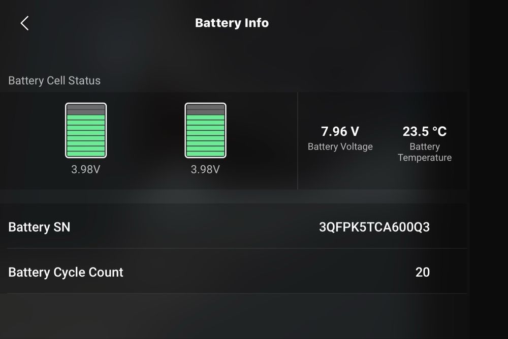 Dji Mini 2  Flymore Combo с 3 батерии