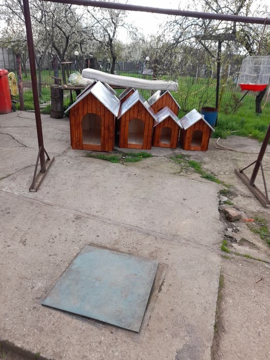 confectionez custi pentru caini