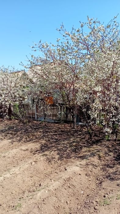 Срочно продам дачу