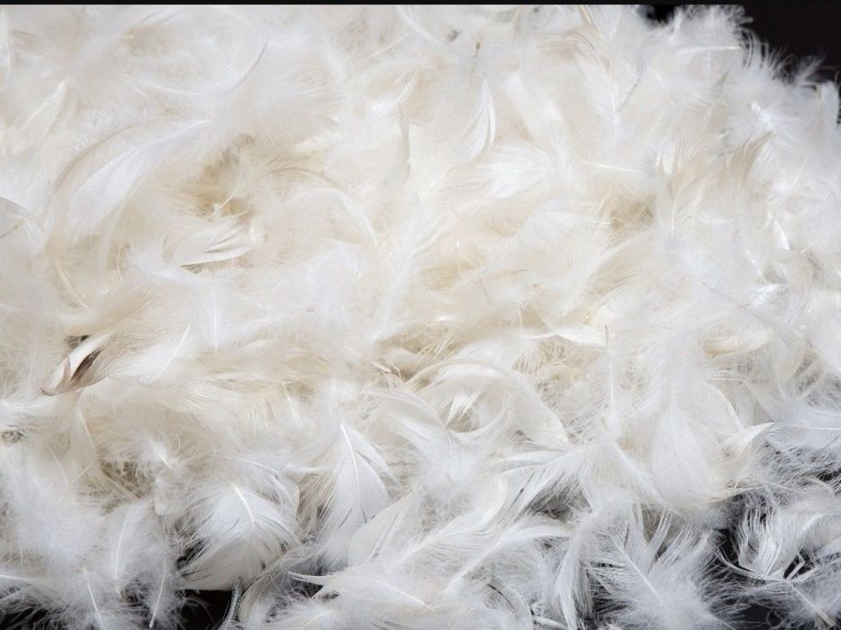Наполнитель для подушек гусиное перо. Наполнитель белый пух. Плотность утиного пуха 350 г/кв. Гусиный пух (goose down). Наполнитель гусиный пух.