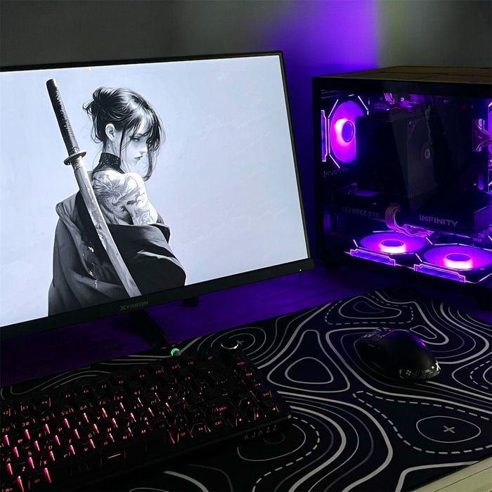 Монитор 320Гц с Кронштейном XTREON 24.5 диагональ