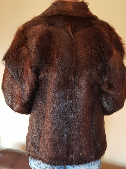 Blana naturala nutrie