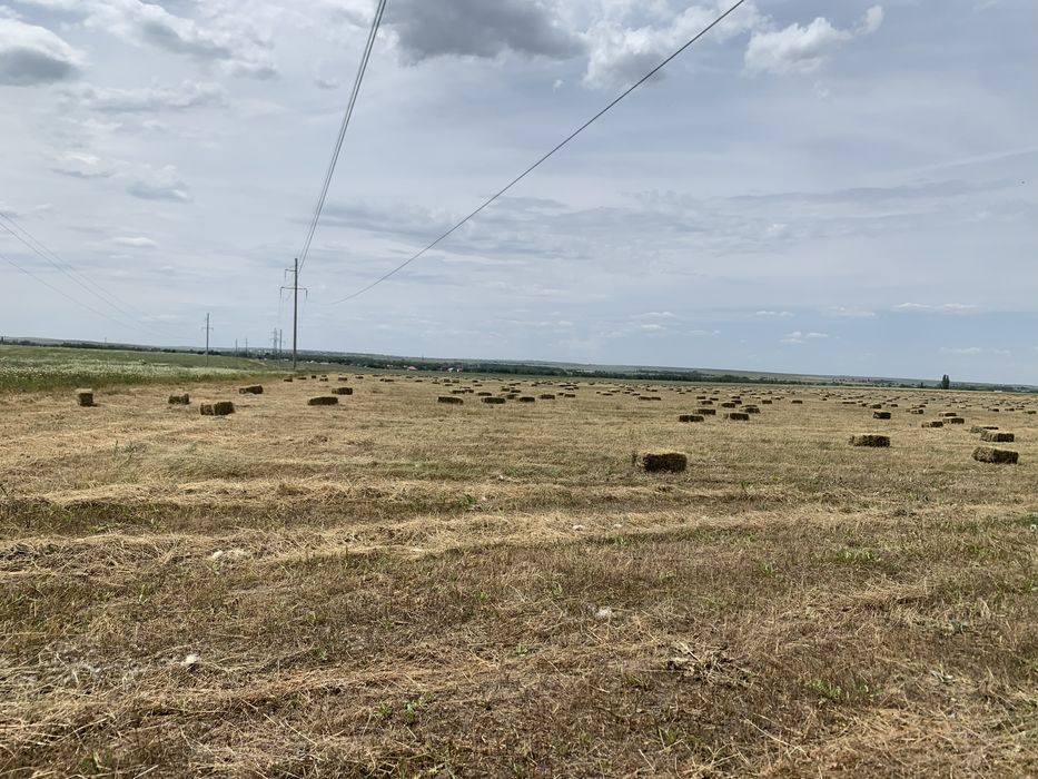 Продам сено летний покос