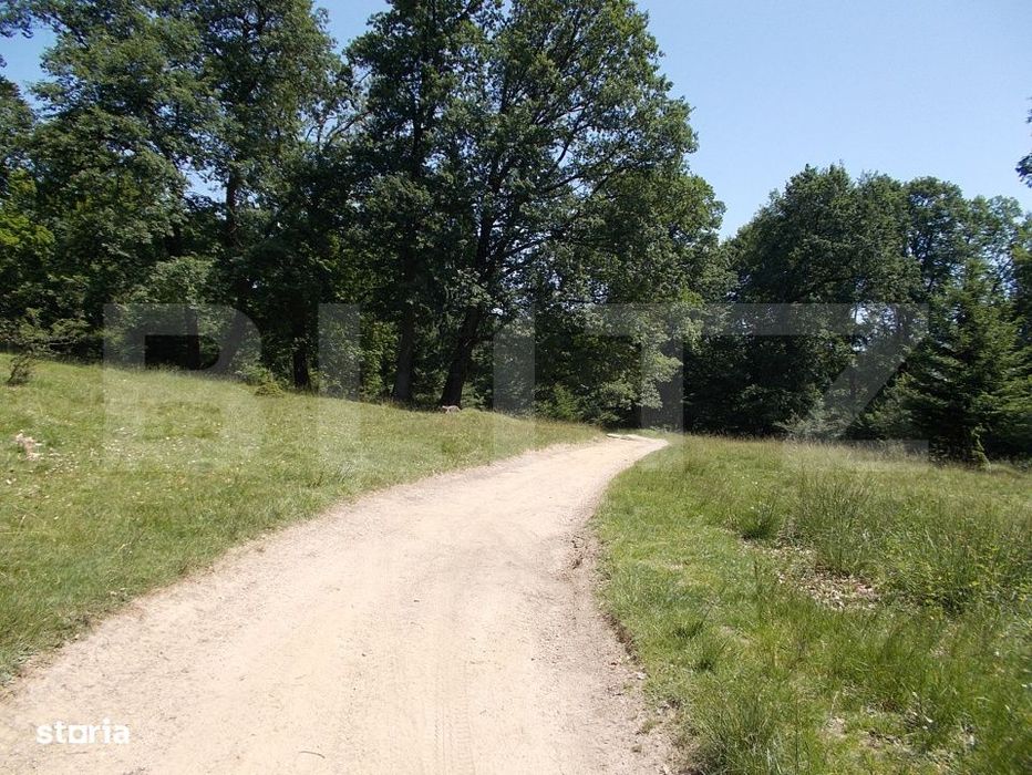 Exclusivitate! Teren Intravilan - 3339 mp - Poiana Brasov – Investit