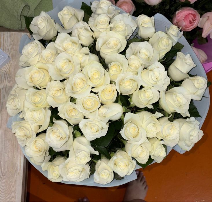 Белые розы,свежие 51 шт
