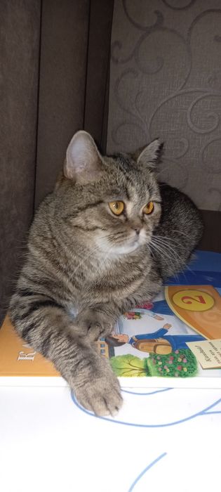 Молоденькая британка