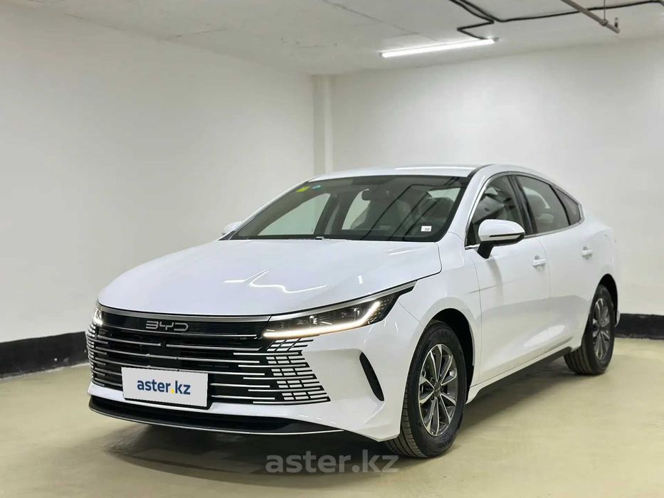 Решетка радиатора на BYD DESTROYER 05  '22-