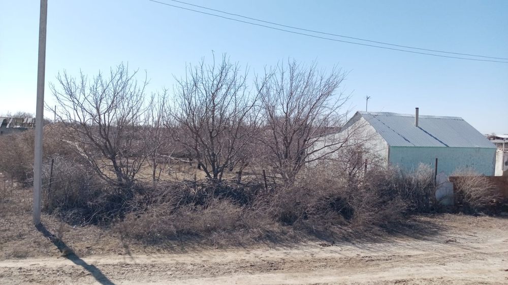 Саяжай Дача Зимний вариант