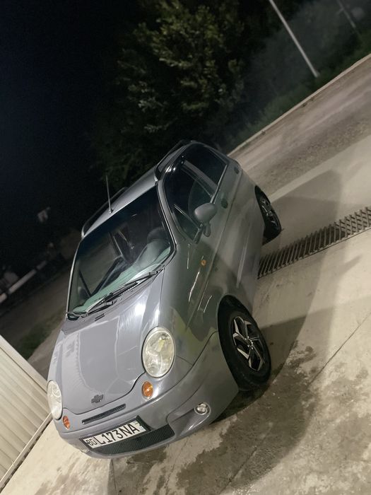 Matiz narda grey