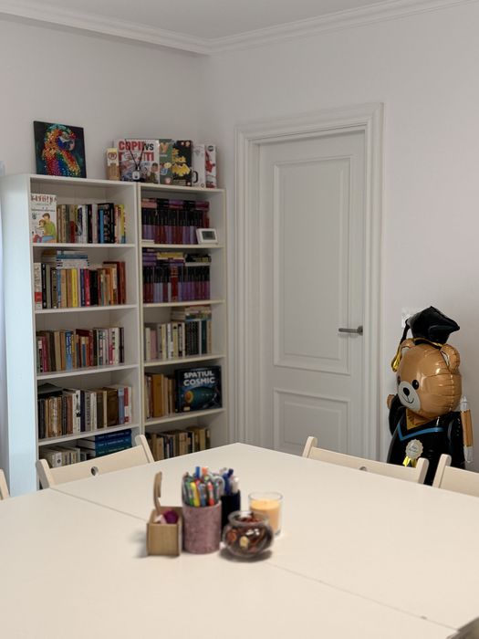 Meditatii BAC limba si literatura română