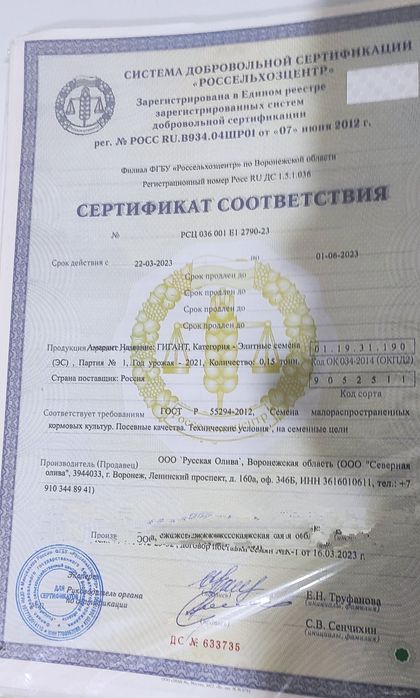 Семена амаранта, сорт Гигант. 20кг