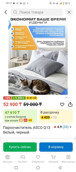 Пароочиститель ASCO Q13