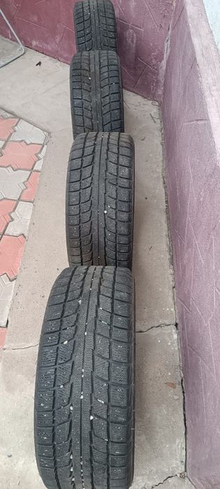 Зимние шины Triangle