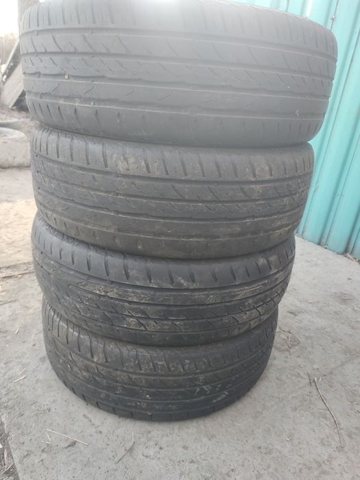 195 55 р16 летние