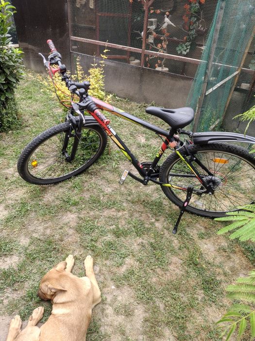 Bicicleta Hervis