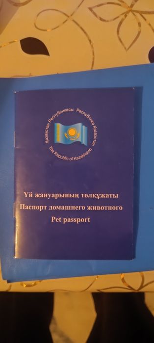 Продам кота Майн-кун