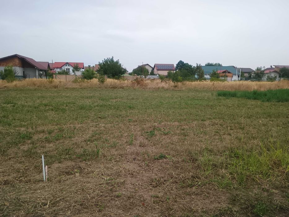 Teren intravila. Teghes Domnesti