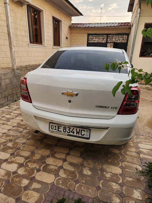 Cobalt 2025 LTZ 2025 yil