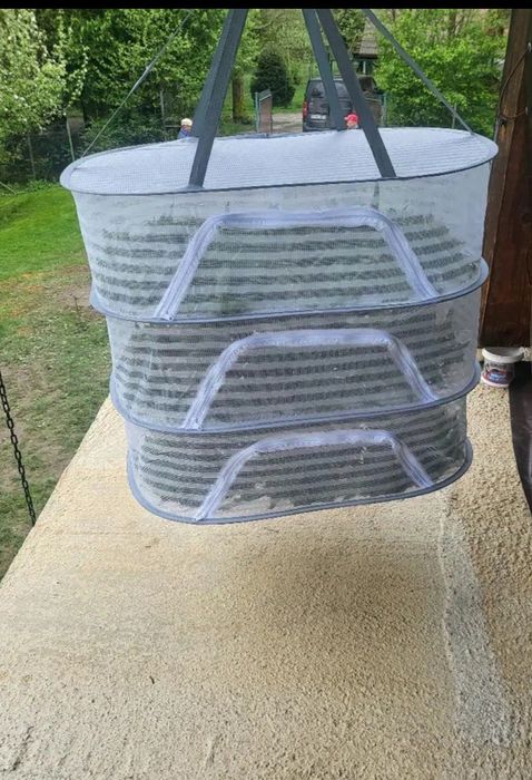 Мрежеста сушилня за билки