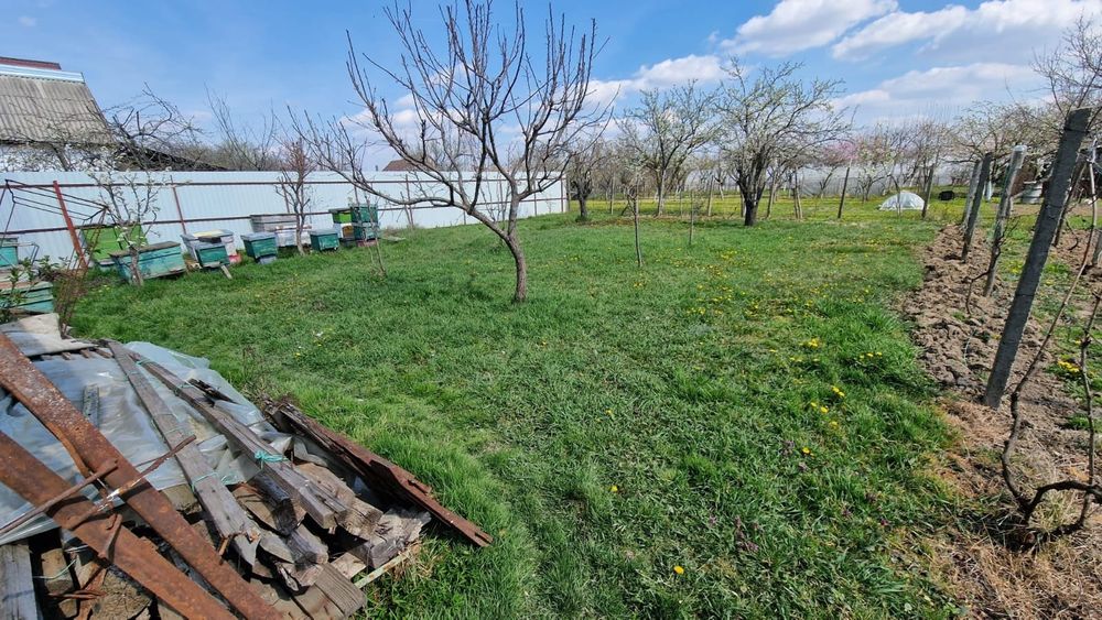 Casa cu gradina de vânzare, oraș Ineu, jud. Arad