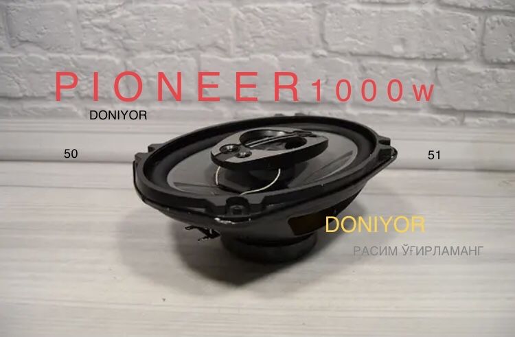 Pioneer 1000w 2ta kalonka endi yangicha bejirim setka bilan keldi