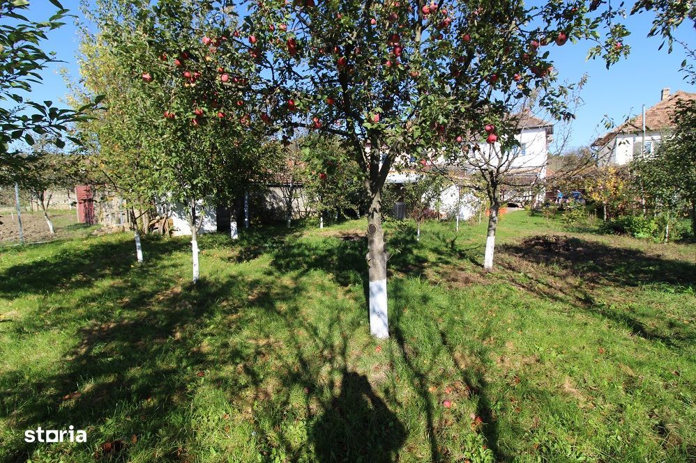 Vând casă P+E+Pod în Hațeg, teren 700 mp, garaj, filigorie...