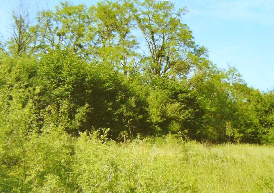 Имот,подходящ за ваканционно селище,имение с езеро,рибарници.