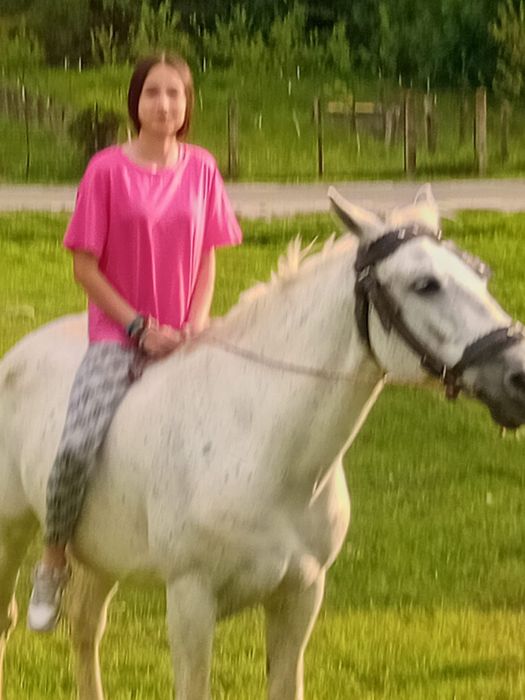 Vând sau schimb cu vacă