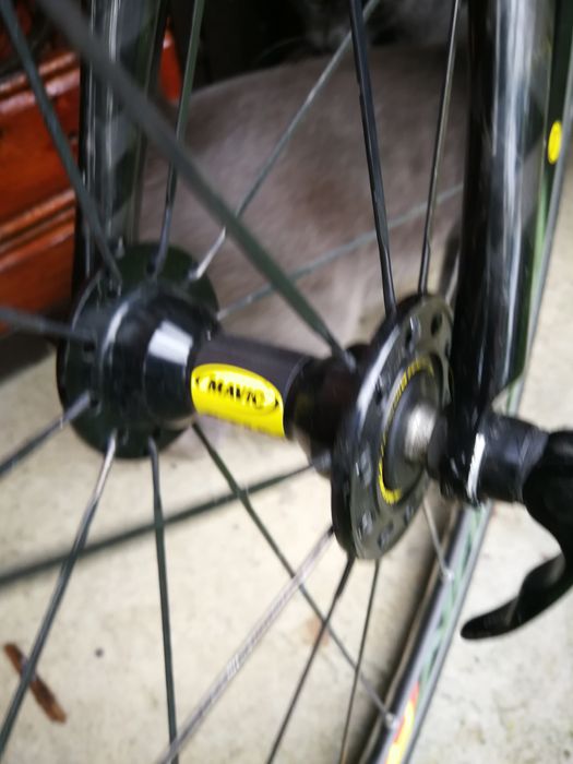 Vând cursiera cu cadru de carbon adusa din Germania de doua zile