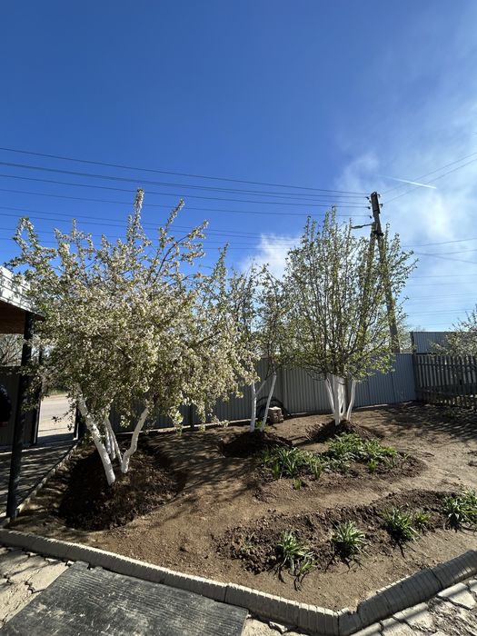 Продам 4-х комнатную дом