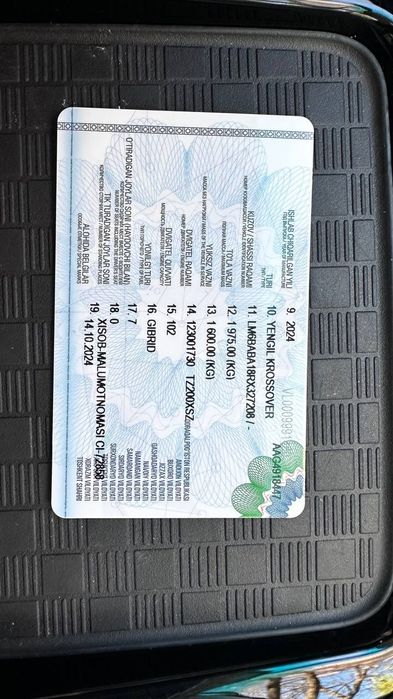 SWM G03 (China Gibrid)